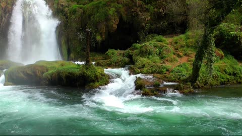 The origin of water on Earth.