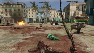 Dying Light- he just died.