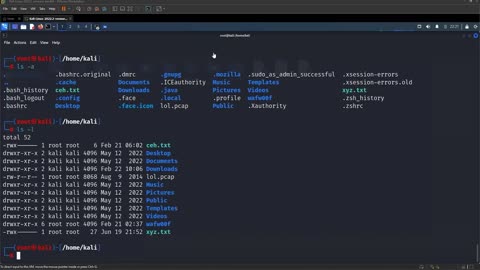 Day - 2 Introduction to Kali Linux | Basic Linux Commands | What is IP Address?