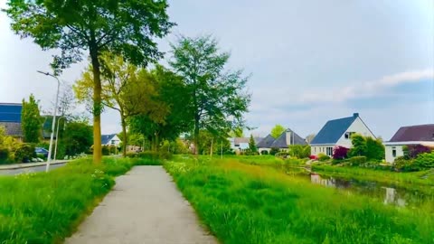 Netherlands and Irs Natural Beauty #47