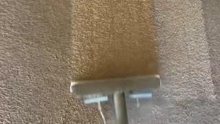 Carpet cleaning in Nampa Idaho