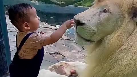 Funny animals and kids