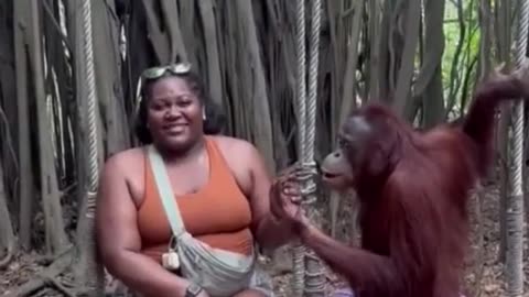 Hilarious Monkey Mimics Girl's Moves!He just gets nasty and nastier
