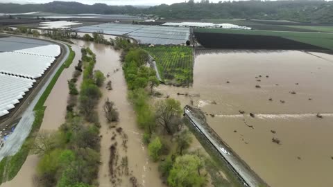 Drone video shows California levee breach