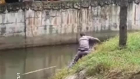 This orangutan fell into the moat in it's enclosure at a zoo in Vietnam.