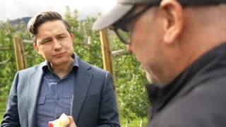 PierrePoilievre HUMILIATES left-wing journalist while munching an apple.