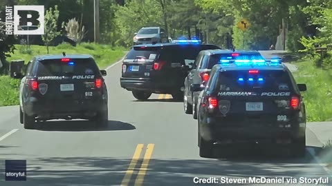 Follow That Bird! MeeMoo the Emu Leads Police on Nearly 20 Mile Chase