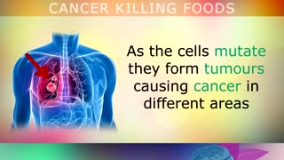 10 FOODS THAT PREVENT CANCER