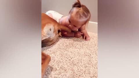 Cute Baby Playing With Dog Compilation #6 - Baby and Pets Video