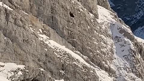 Day 65 - surprise encounters #switzerland #extreme #sports #flying #snow #mountains #views #wow #fun