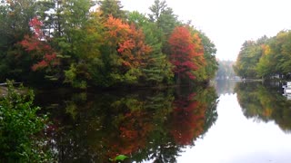 Fall Foliage