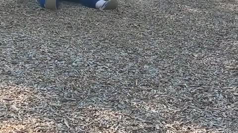 Swing Snaps at Park on Friend Swinging with Daughter