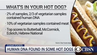 What's in your hot dog?
