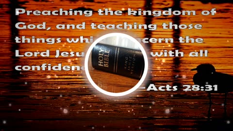 Holy Bible Acts 28