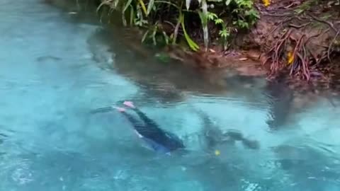 Amazing... | A natural swimming hole concealed in the forest