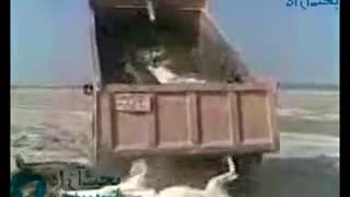 How to Unload a Truck Stacked full of Donkeys