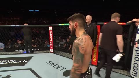 TOP UFC FINISHES 2022