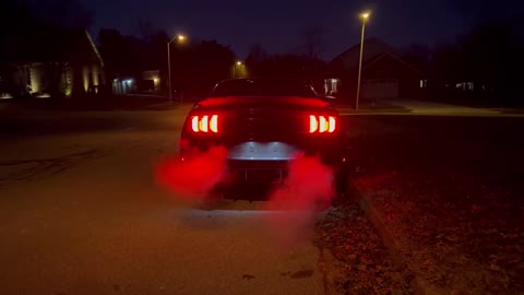 2019 Mustang GT - Borla ATAK x Corsa HH-pipe (cold start)