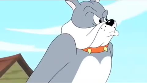 funny tom and jerry shorts