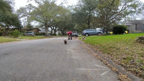 Weenie Race FEB 15, 2023