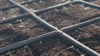 Preparing Your Raised Bed for Planting Onions