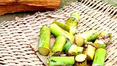 Sugarcane | Argriculture | Agritools