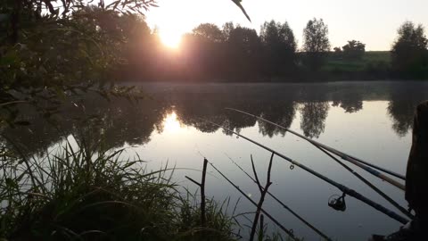 Relaxing Sounds of Fishing in Summer. Fishing ASMR, Sound of Nature