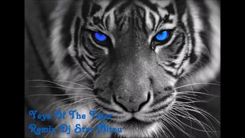 Eye Of The Tiger [Remixed By Dj Star Nitou] 2016_Cut