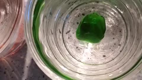 What happens when you leave gummies in vodka?