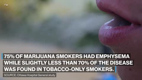 Marijuana smokers could be at more risk for emphysema than cigarette smokers_ Study