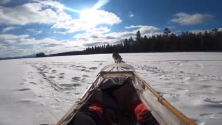 Dog Sledding with Mahoosuc Guide Service on Umbagog Lake