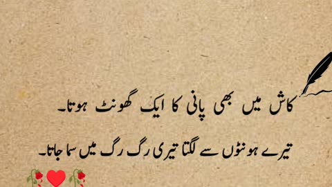 Urdu peotry deepline💔 Mirzagalib peotry heart toching peotry ❤️