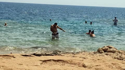 My friend dancing on the beach in Sharm El Sheikh🤣🤣🤣🤣
