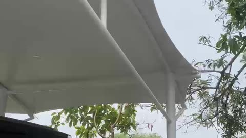 minimalist canopy with membrane roof