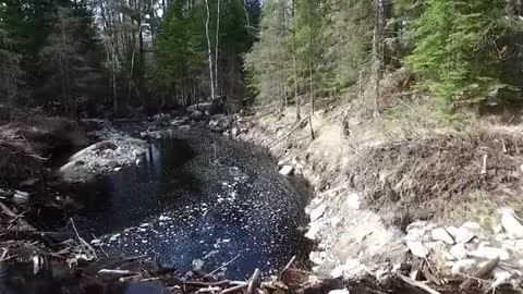 Rebuilding of Beaver Dam After Its Collapse in Northern Minnesota