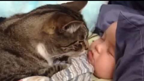 Cutest Cats loves babies 🥰 beautiful cats play with little kids