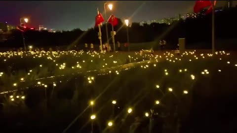 6810_led_solar_garden_lights_powered_firefly_light