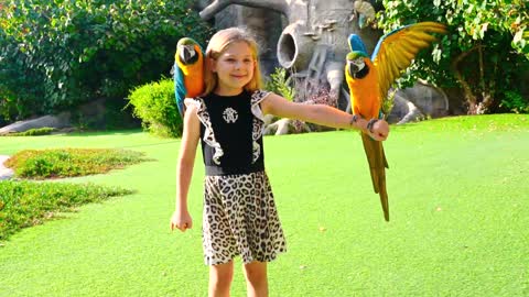 Diana and Roma feed the animals; at the Emirates Park Zoo