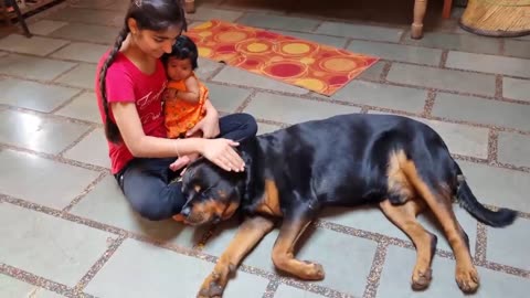 Dog protecting baby