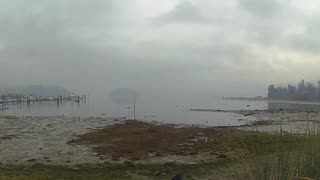 Birds at Low Tide on a Rainy Beach featuring Last Nite by Paul Clifford