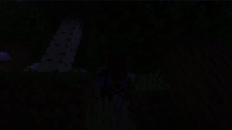 Minecraft 1.17.1_Shorts Modded 1st Outting_13