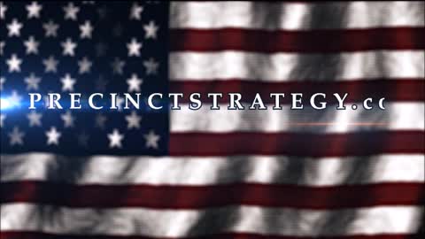 Precinct Strategy: The Enemy is Us. Dan Schutz September 22 2022
