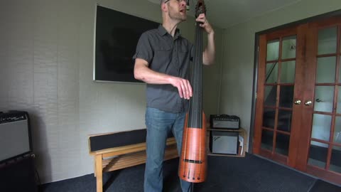 NS NXT Electric Upright Bass Demo