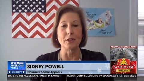 Sidney Powell: We The People Versus The Global Elite, Americans Are Awakening