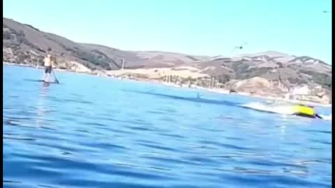 2 Women swallowed by a whale in Avila beach , California!