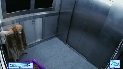 Scary elevator prank