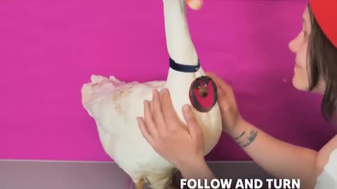 Craftsman makes a cute name tag for his pet goose