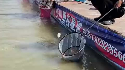 Asian fishing video