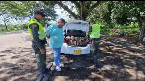 Video: Incautan más de 400 kilos de marihuana en la Troncal del Magdalena Medio