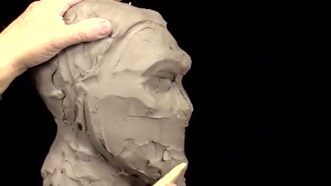 Fabricate The Outline Of The Chin And Nose